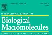 Mitochondria-loaded alginate-based hydrogel accelerated angiogenesis in a rat model of acute myocardial infarction